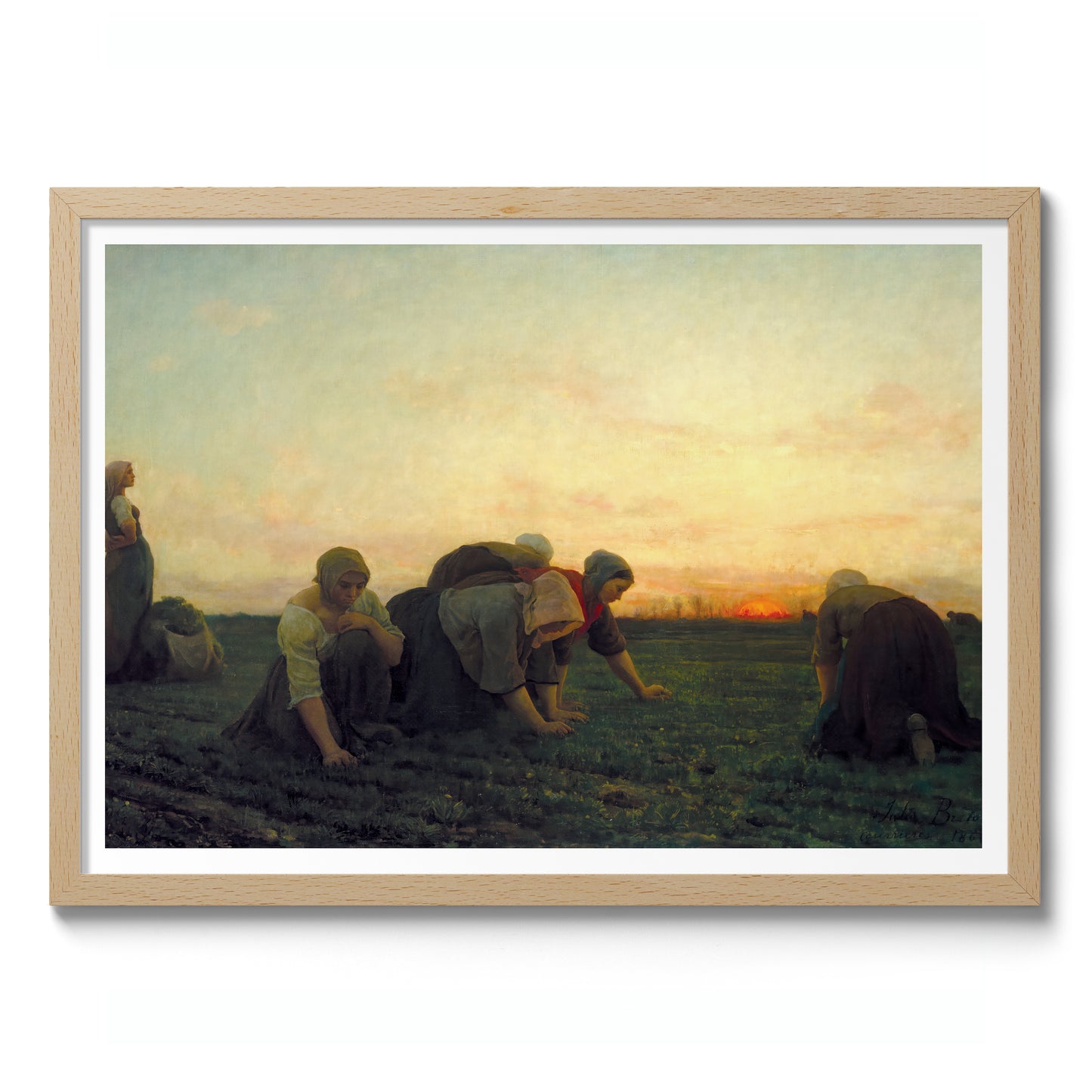 De Onkruidverdelgers