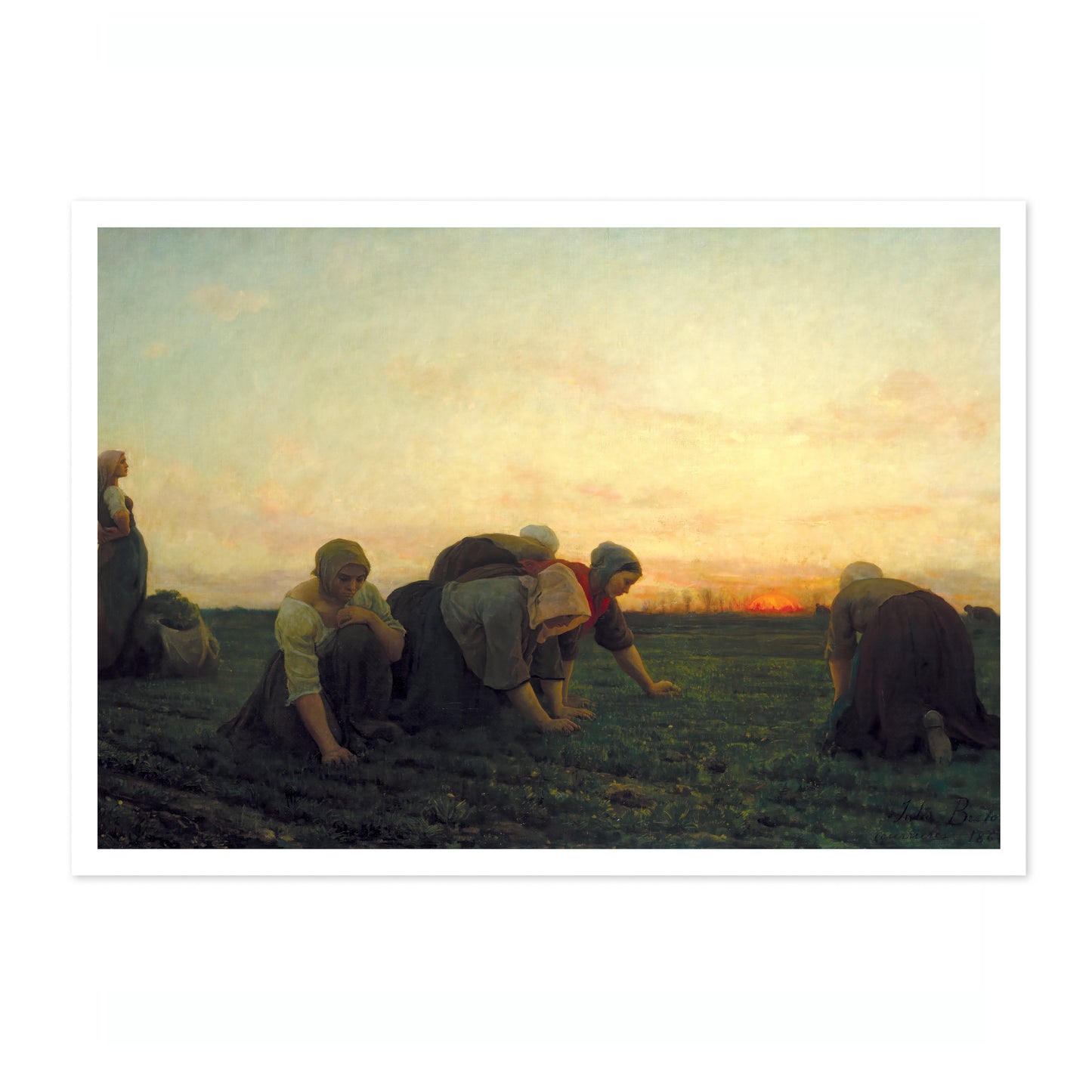 De Onkruidverdelgers