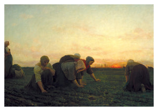 De Onkruidverdelgers print