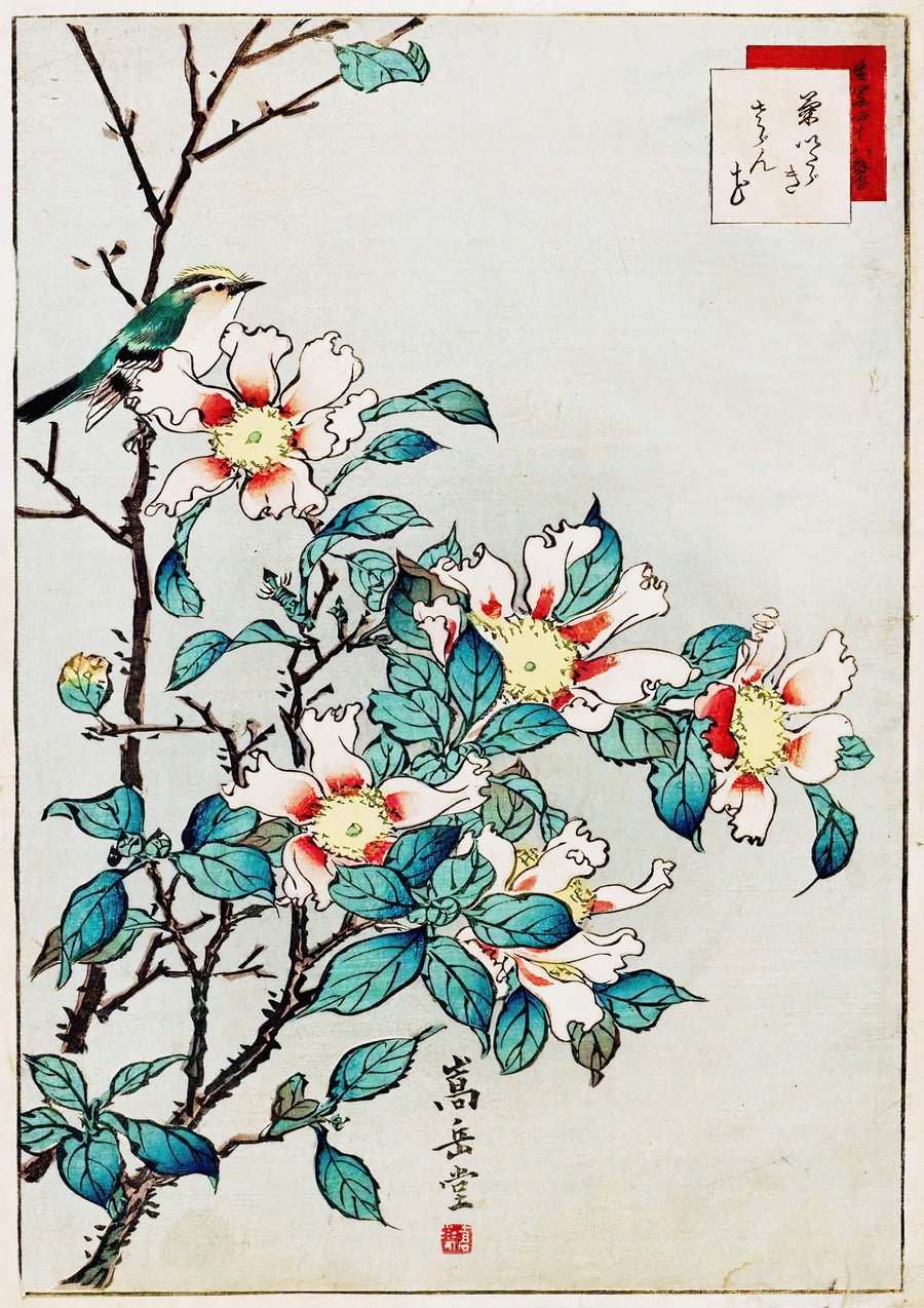 Blå Fågel och Rosa Blommor - Print Only frame