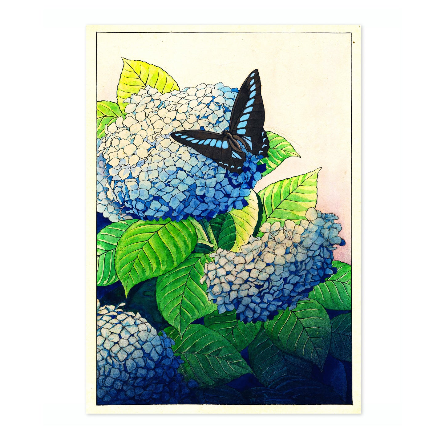 Hortensia's en Vlinder