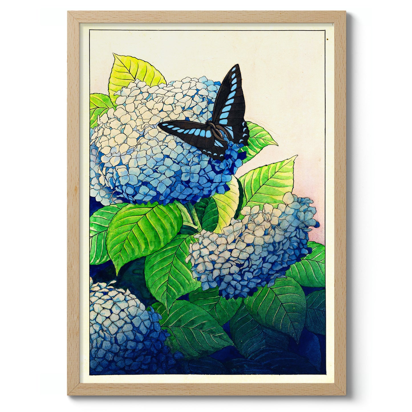 Hortensia's en Vlinder