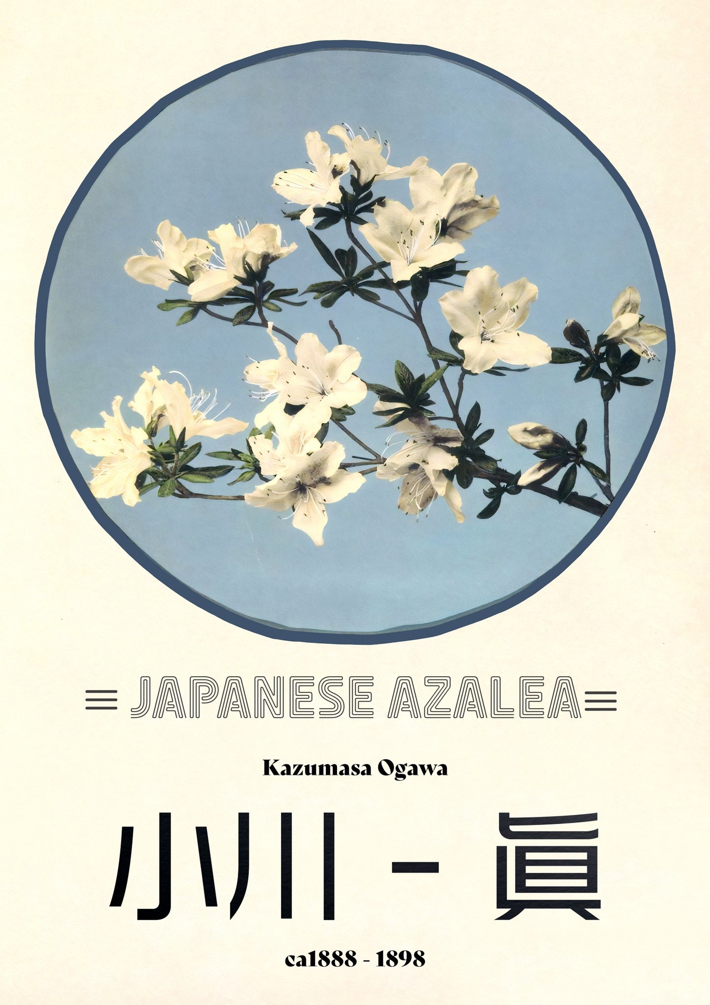 Azalea