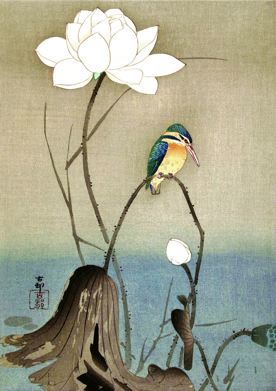 IJsvogel door Bloem - Print Only frame