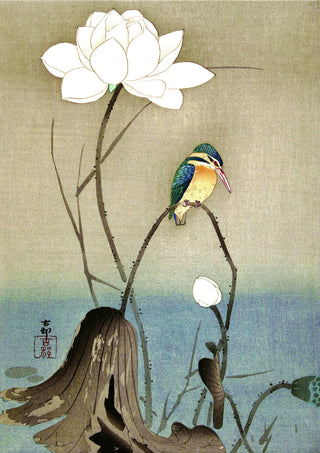 IJsvogel door Bloem print