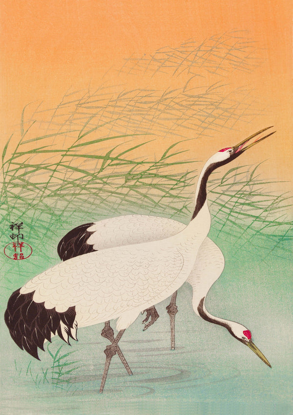 Cranes