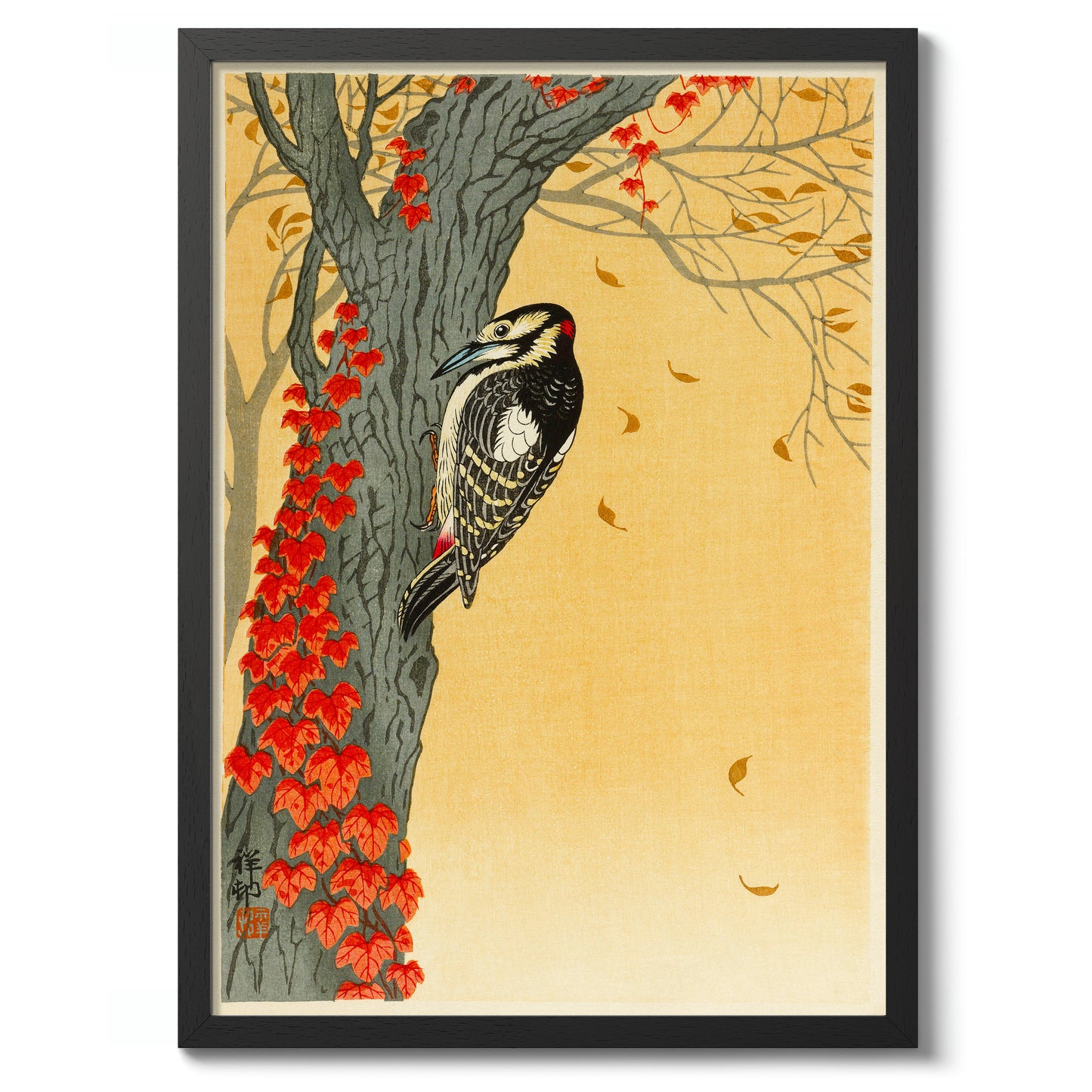 Great Spotted Woodpecker