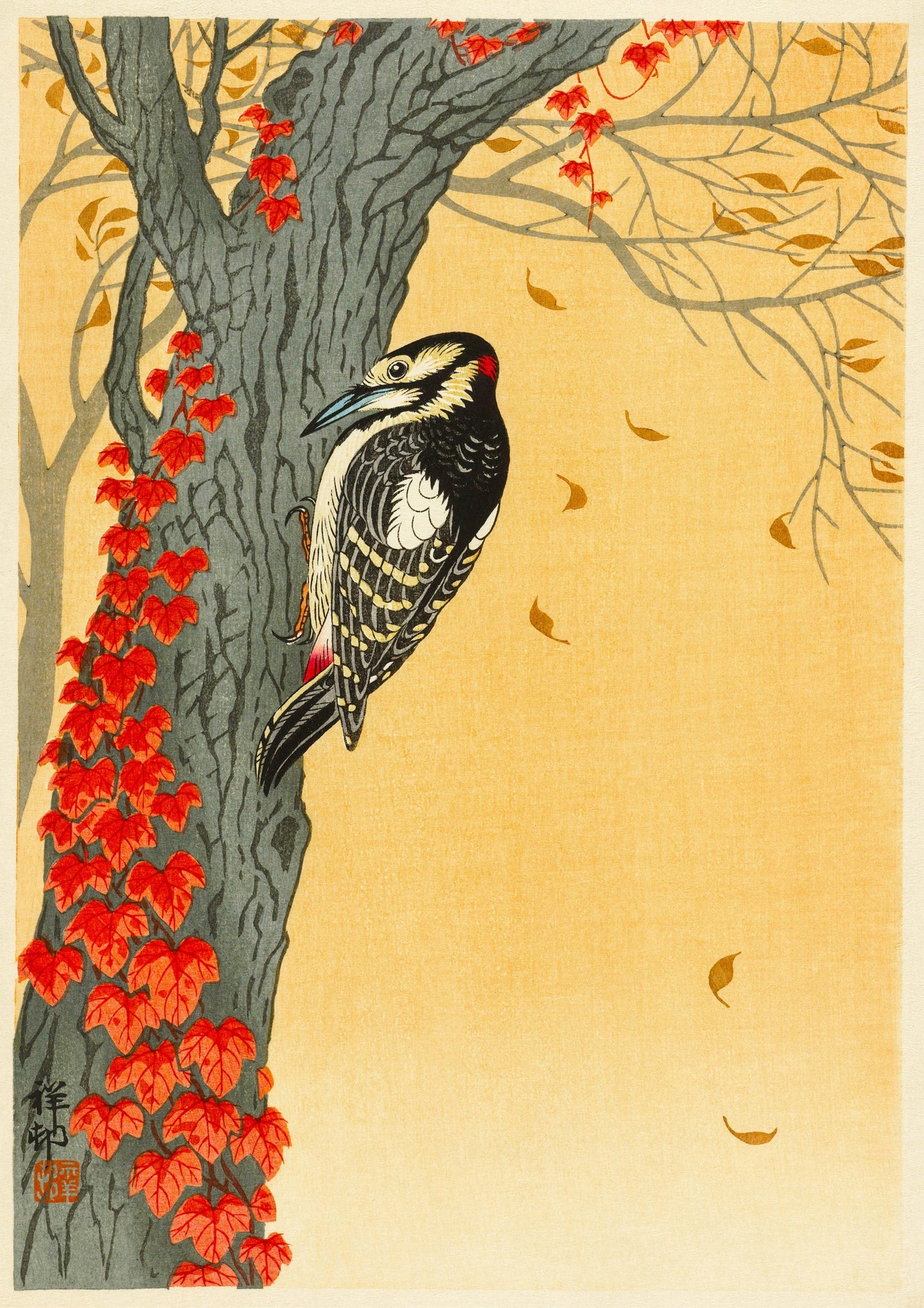 Great Spotted Woodpecker