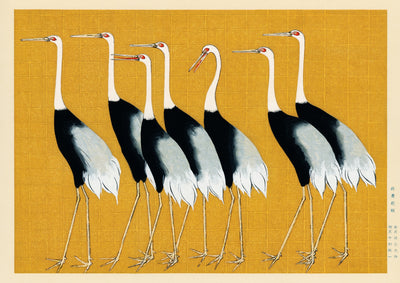 Grues