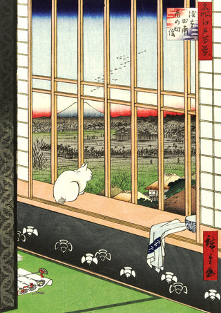 Kat in een raam print