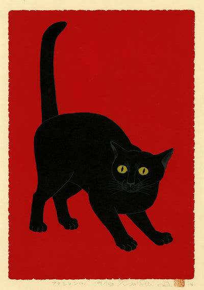 Svart katt på röd