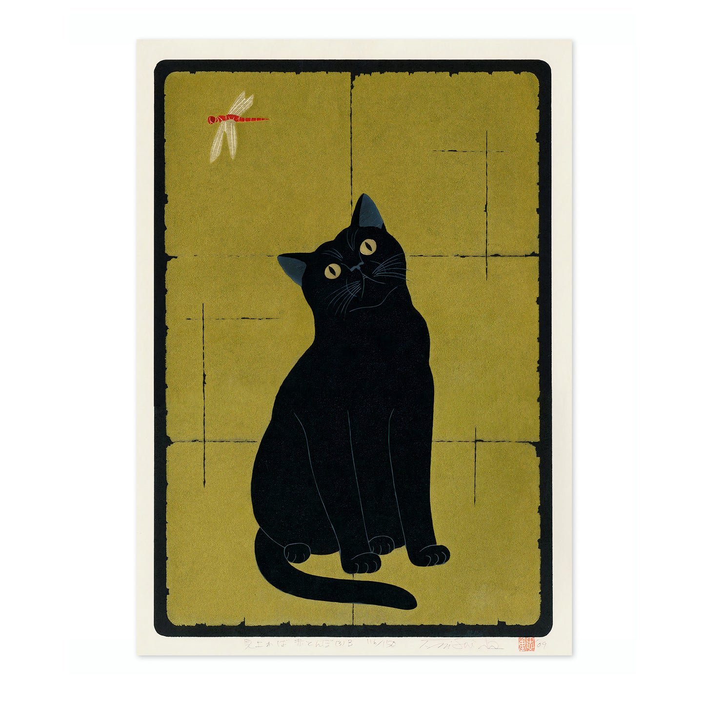 Svart katt med trollslända