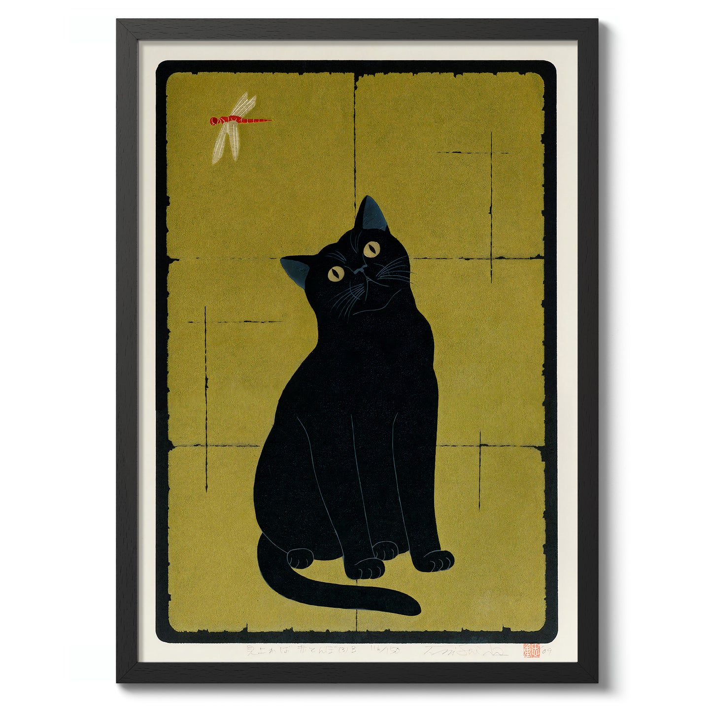 Svart katt med trollslända