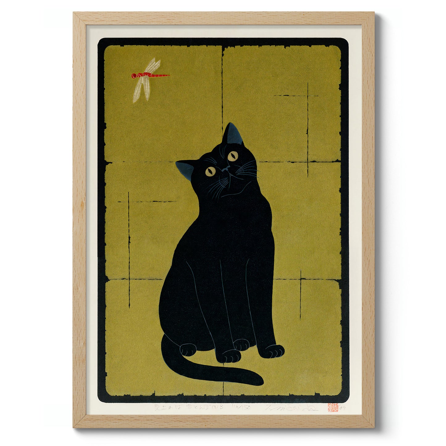 Svart katt med trollslända