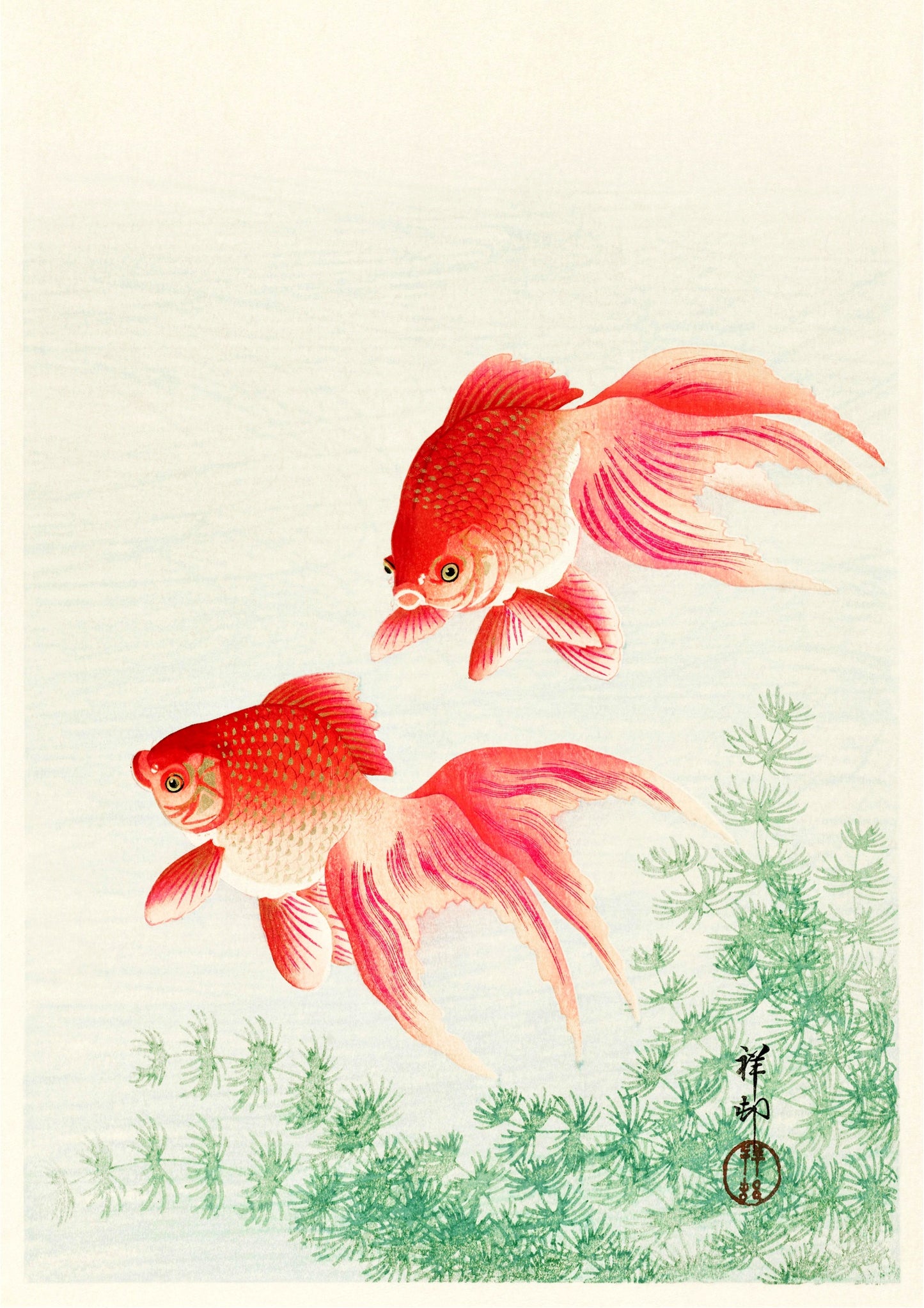 Goldfish