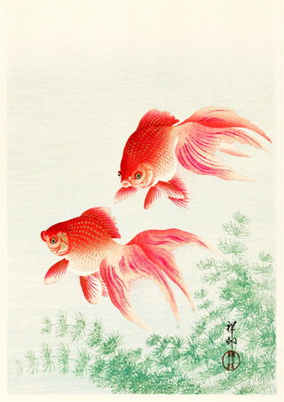 Goldfish print