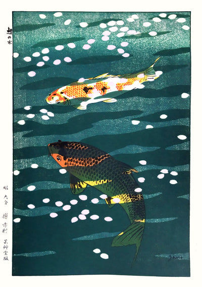 Koi-damm