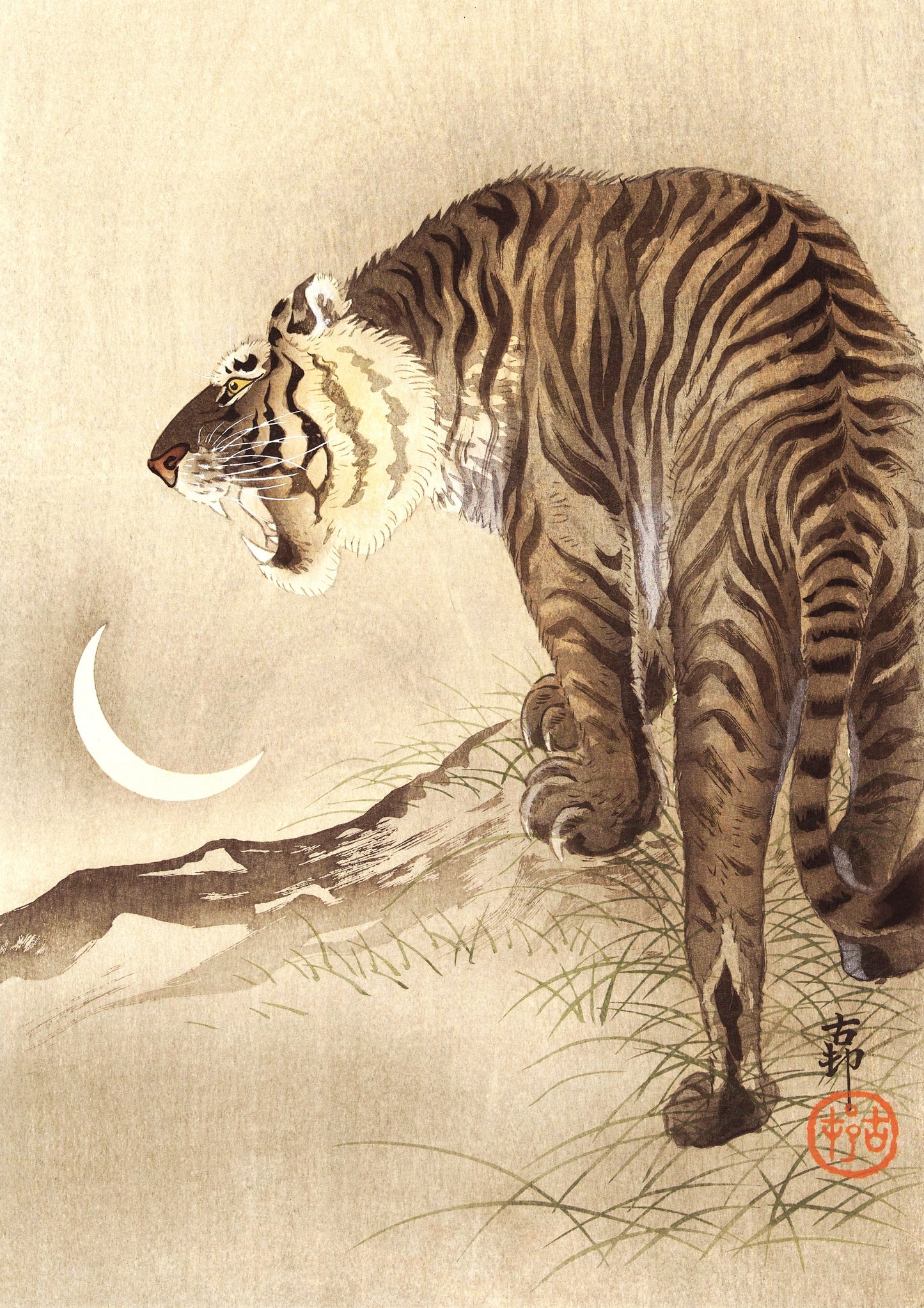 Tigre et Croissant de Lune