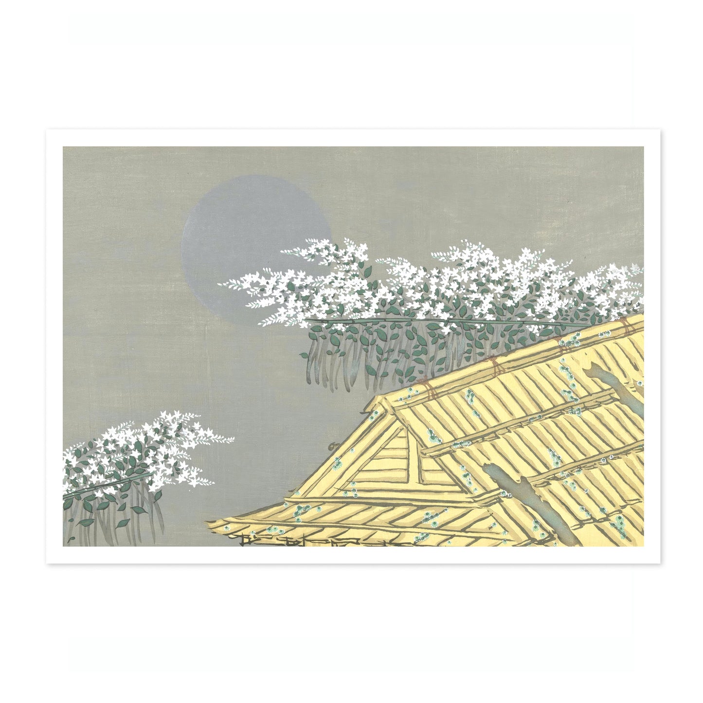 White Flowers at Unohana's House