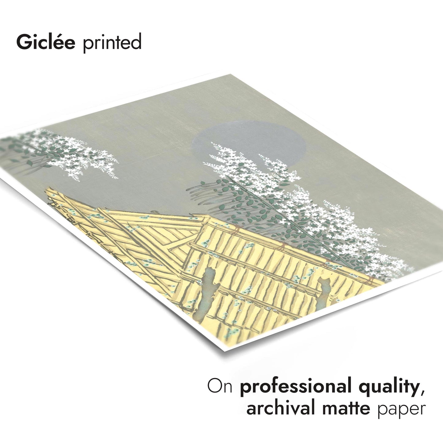 White Flowers at Unohana's House