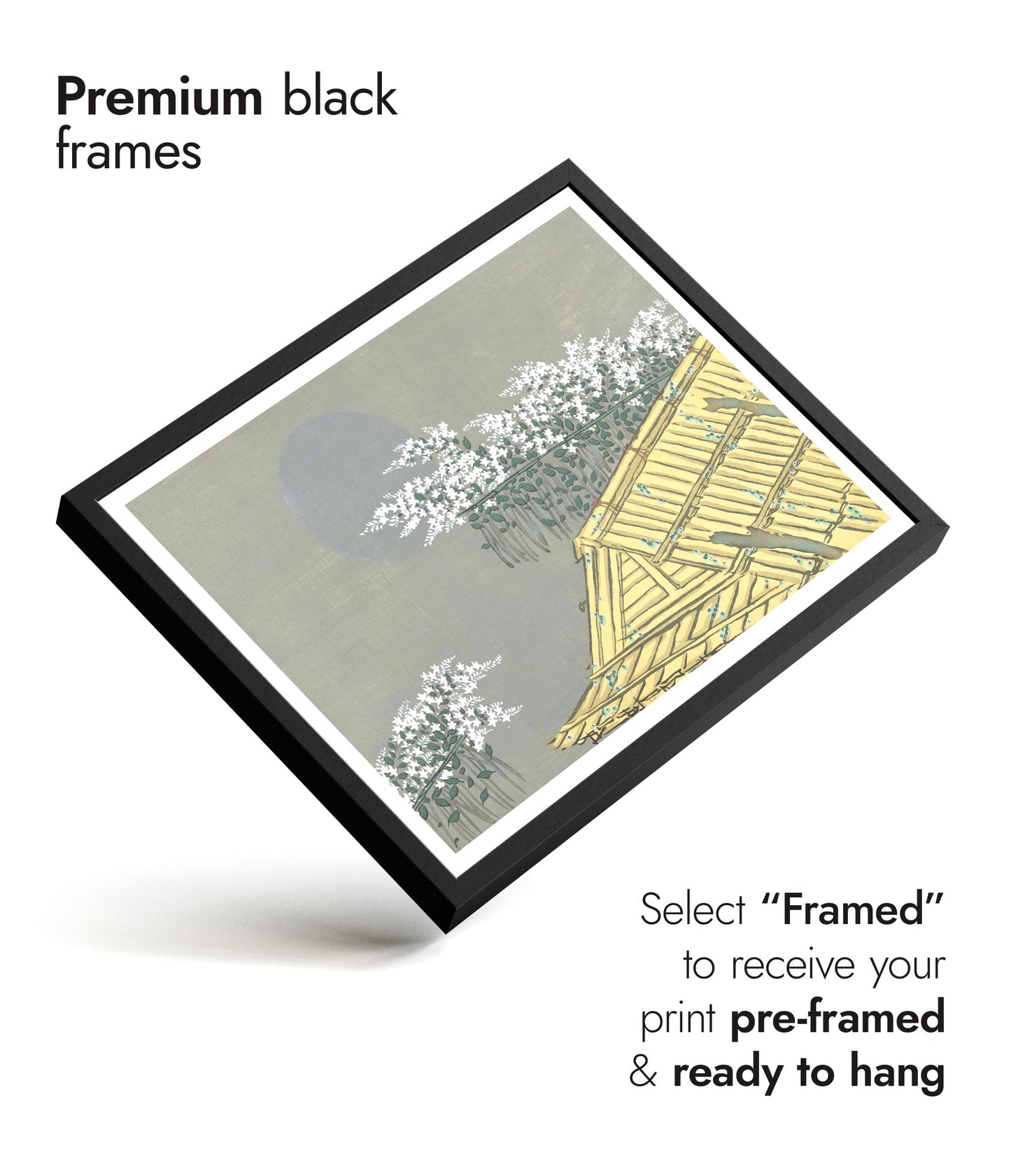 White Flowers at Unohana's House