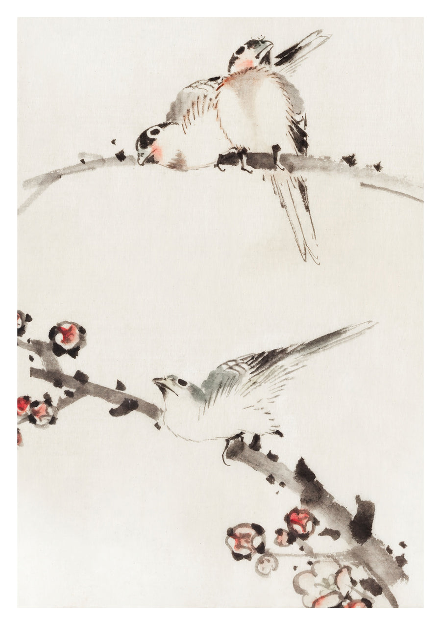 Three Birds Perched on Branches - Print Only frame