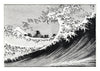 Fuji at Sea print