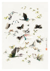 Papillons et papillons de nuit print
