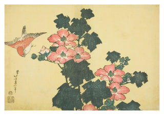 Hibiskus & Sparv print