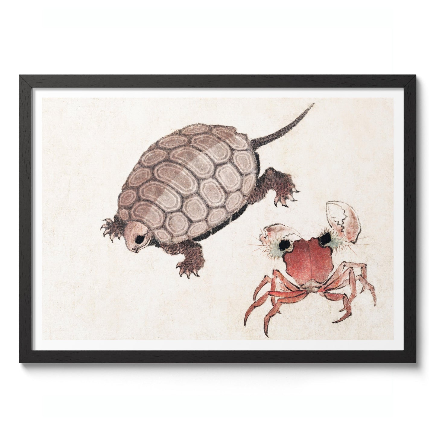 Turtle & Crab