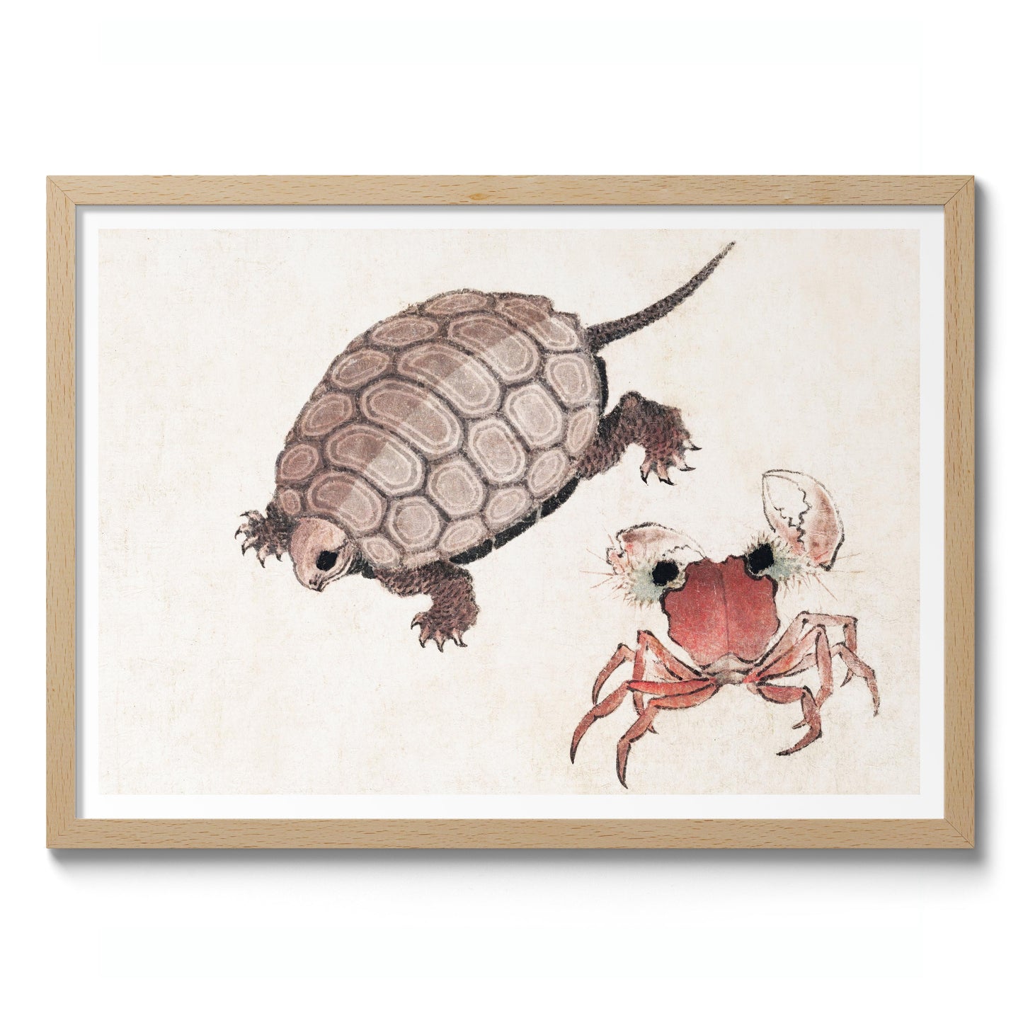 Turtle & Crab