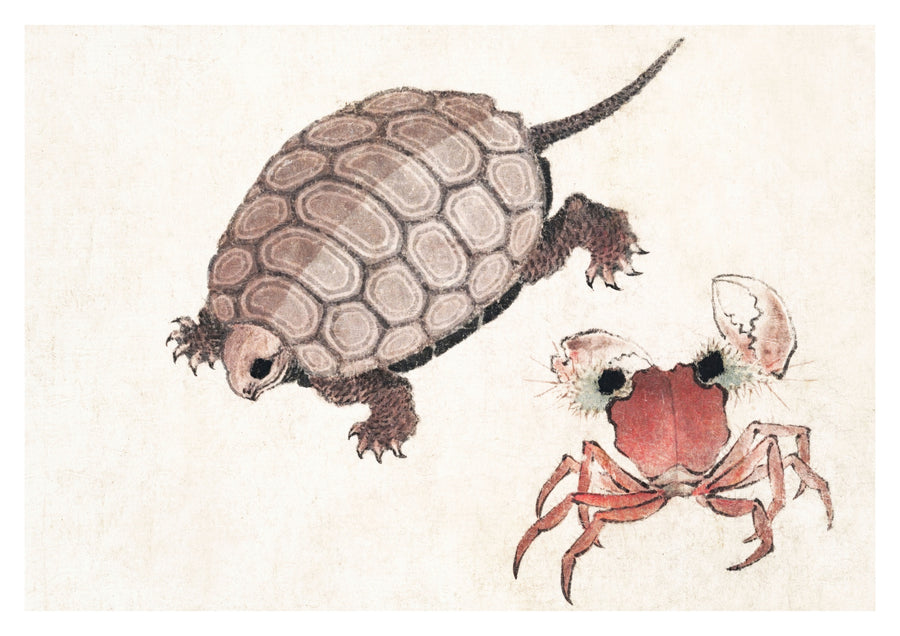 Turtle & Crab - Print Only frame