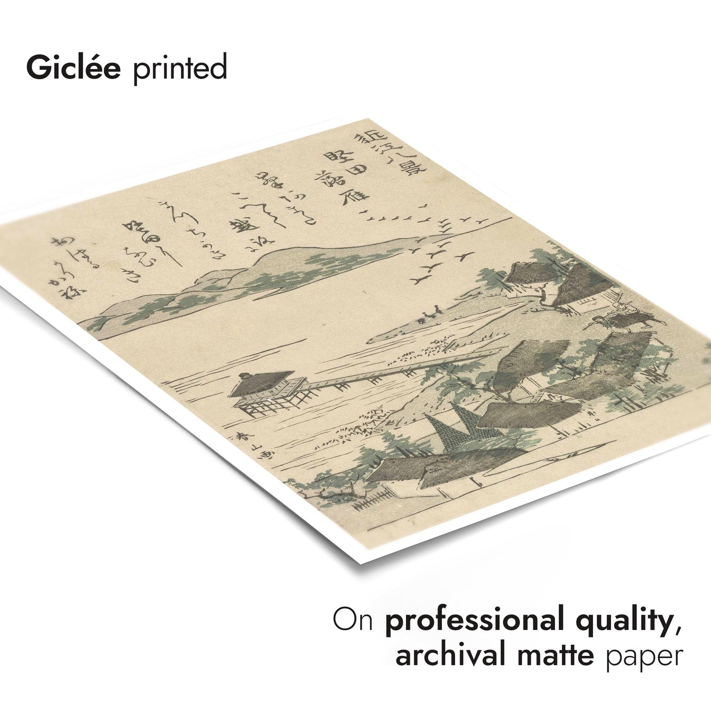 Geese Descending at Katada