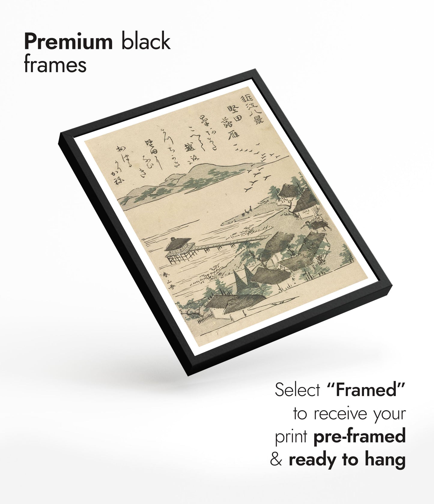 Geese Descending at Katada