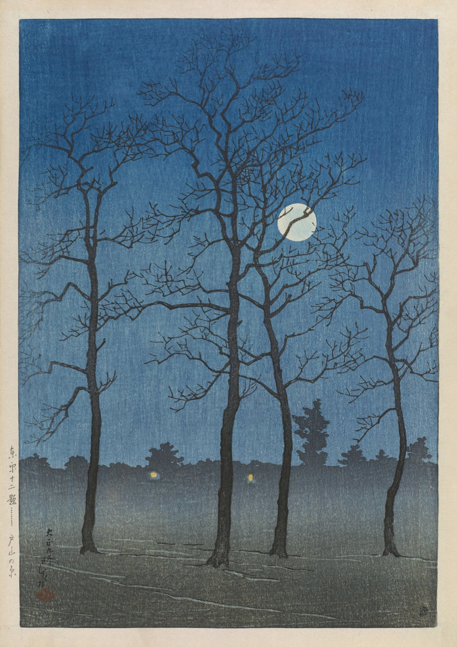 Toyama-vlakte - Print Only frame
