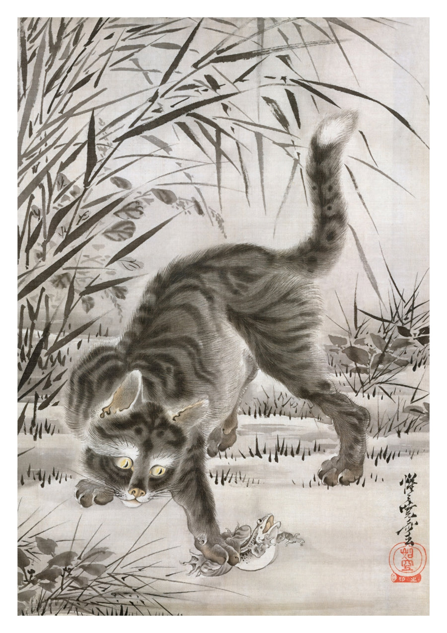 Chat attrapant une grenouille - Print Only frame