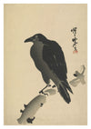 Crow on a Withered Branch print