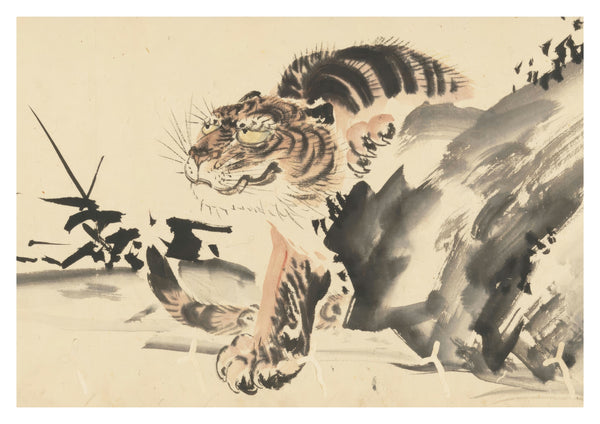 Tijger
