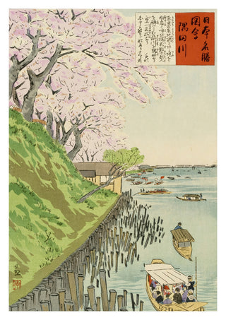 Rivière Sumida print