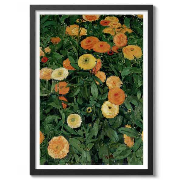 Marigolds