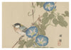 Bird & Morning Glory print