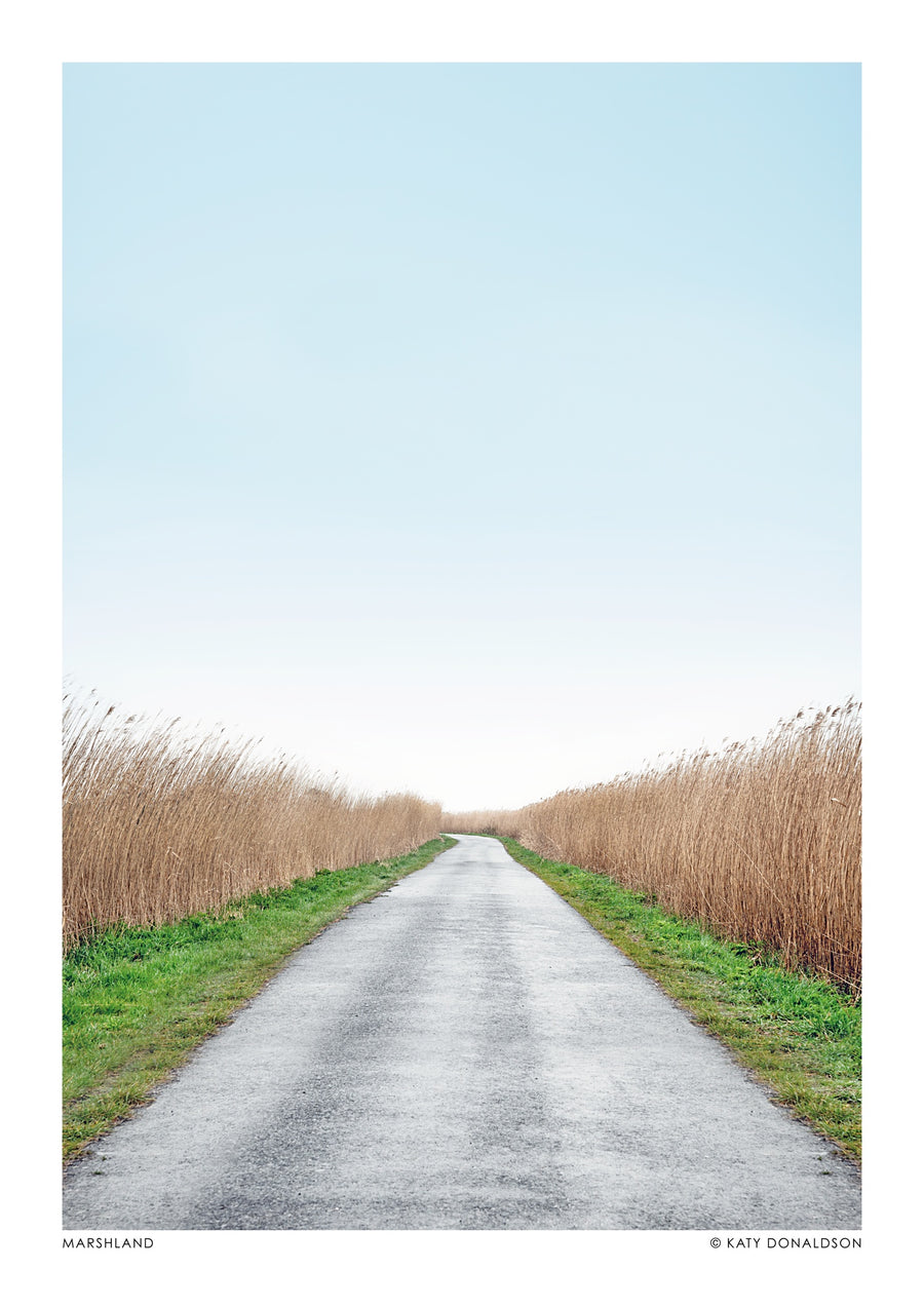 Marécage - Print Only frame