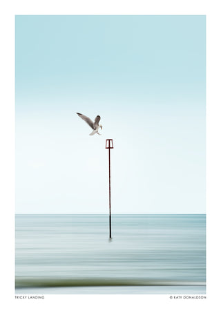 Tricky Landing print