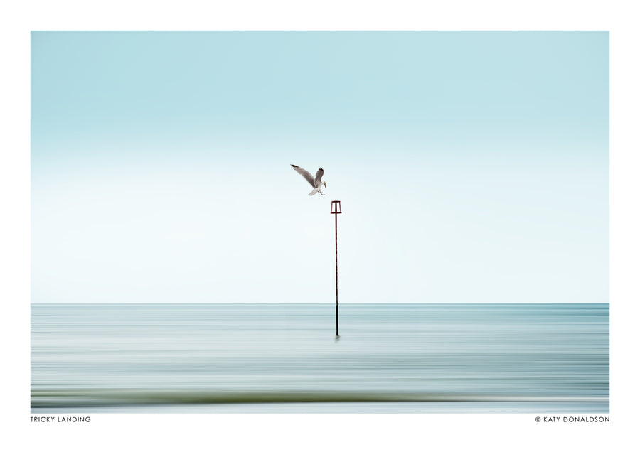 Knepig Landning - Print Only frame