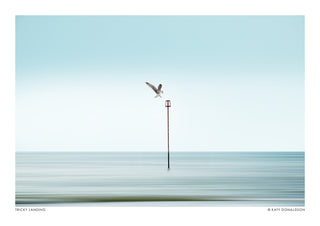 Knifflige Landung print