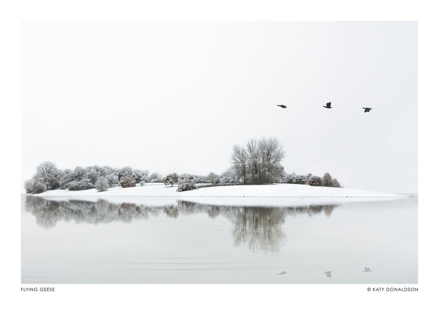 Vliegende Ganzen - Print Only frame