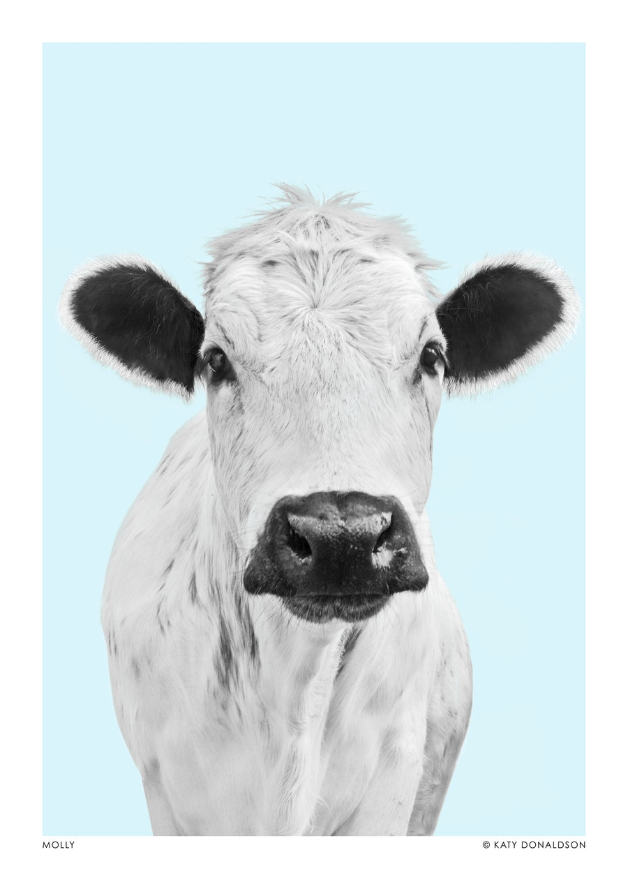 Molly - Print Only frame
