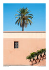 Potted Palms print