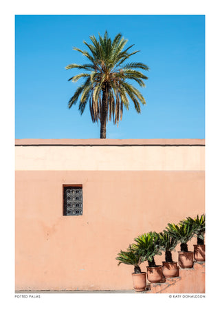 Potted Palms print
