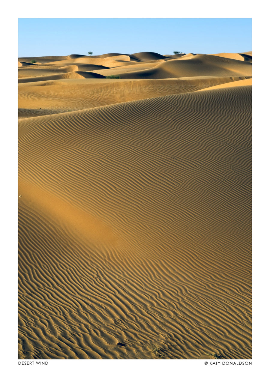 Ökensvind - Print Only frame